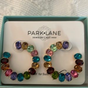 NWT Park Lane Dream earrings.